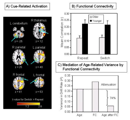 A) Cue-Related Activity B) Functional Connectivity C) Mediation of Age-Related Variance by Functional Connectivity