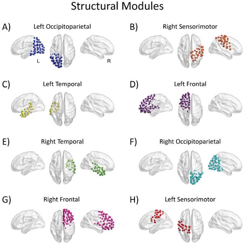 Structural modules