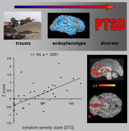 Cognitive and Affective Processing in PTSD