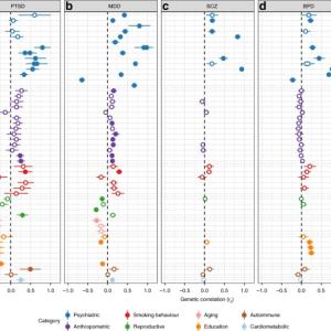 Commonality of genetic correlations between PTSD and other psychiatric disorders