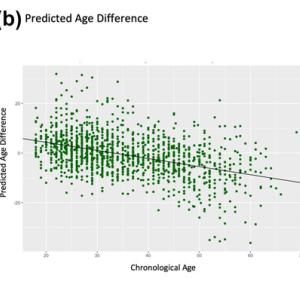 Model validation in control subjects