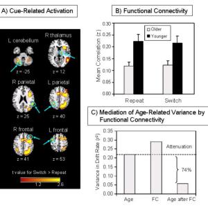 A) Cue-Related Activity B) Functional Connectivity C) Mediation of Age-Related Variance by Functional Connectivity