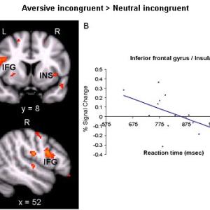 Aversive incongruent > Neutral incongruent