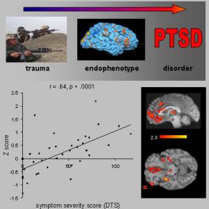 Cognitive and Affective Processing in PTSD